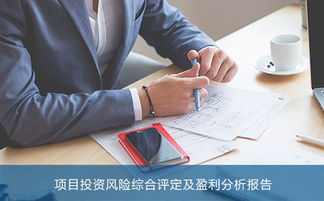 南京项目运营及偿债能力综合分析报告机构,专业值得信赖