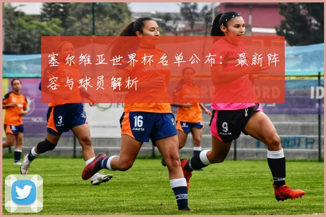 塞尔维亚世界杯名单公布:最新阵容与球员解析