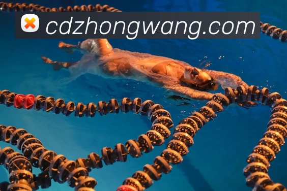 奖项1